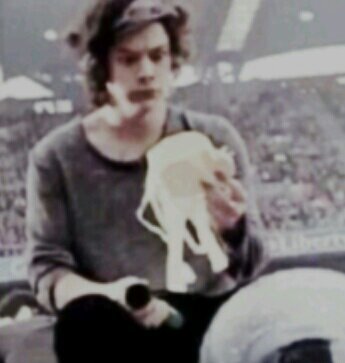 Harry ~Gay