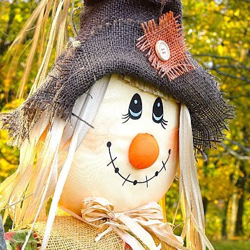 The brains behind the Wilmslow Scarecrow Festival and a member of The Wilmslow Dean Rotary Club