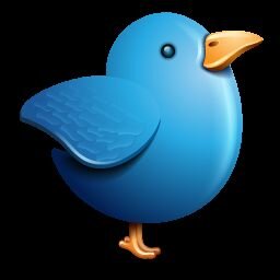 Follow back