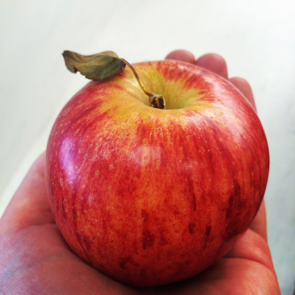 KinsellaFruits's profile picture. We are a family run greengrocers in Whitehaven, Cumbria. We deliver to care homes, restaurants, pubs, cafes, schools etc. Est 1919