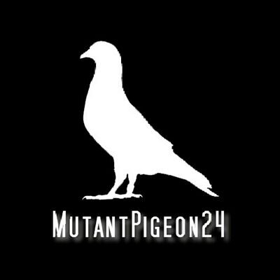 MutantPigeon24's profile picture. Technical Lead and Frontend Dev. Avid reader. Wanna-be comedic writer. A perfect gentleman.
Adapted Chromino for BGA: https://t.co/4hdKekW7e7