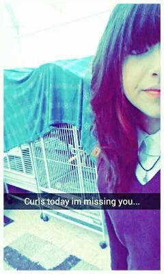 xx_codiii_xx's profile picture. a passion for music. I play guitar and sing. inspired to become a photographer