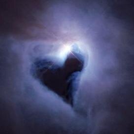 NoelleMcorm1ck's profile picture. here - Bacon geek ,