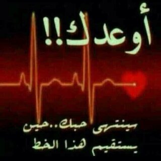 Maheralselmy's profile picture. كم من شجيعن زمانه منقلب ضده    لاتشكي الحال لو النفس محتاجه    يا محزم فالرخاء والطيب والشده     مايكسر الرجل مثل القل والحاجه