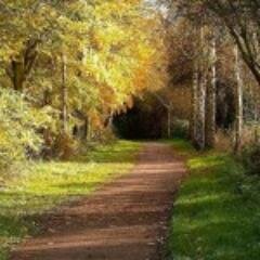 RoxaneHoll3n's profile picture. 3 years ,  Evil creator ...here:Tv lover ,