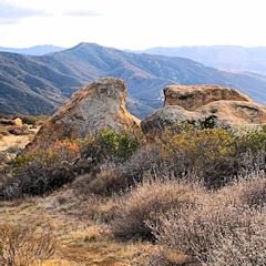 Rover of the California wilderness and beyond.  #hiking #nature #health