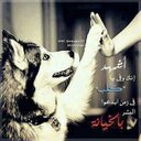 ابي بنت من جده طيبه (@05f81763bc05475) Twitter