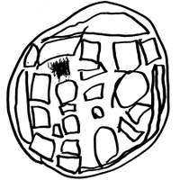 Fredrik Timour (@fredrik_timour) 's Twitter Profile