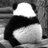 pandaatlas