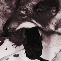 Jiro tog man (@htuntan) 's Twitter Profile Photo