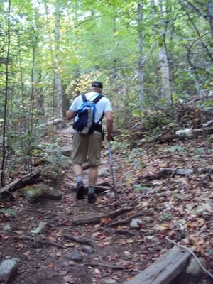 jstewpe's profile picture. 