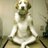 omosiro1dog's profile image