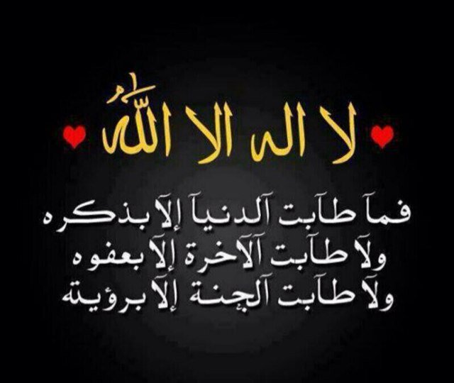 kokh14071's profile picture. 