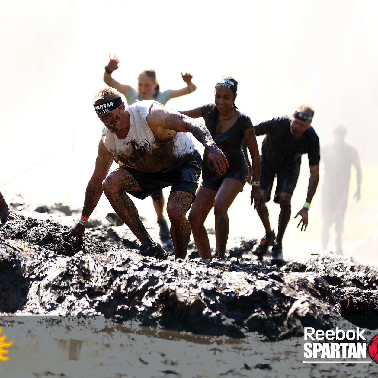 ddryfhout's profile picture. 