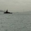 eshonm's profile picture. 