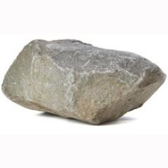 life liver, rock fancier, breakfast enthusiast