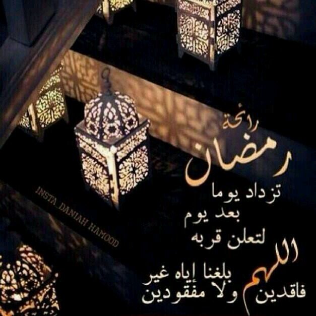ﻻ شئ يسَاوي العآفيہَ في هذه الدَنيا فمن يٌدركہآ فَ لِيحمَد اﻟلھہَ ♡̷