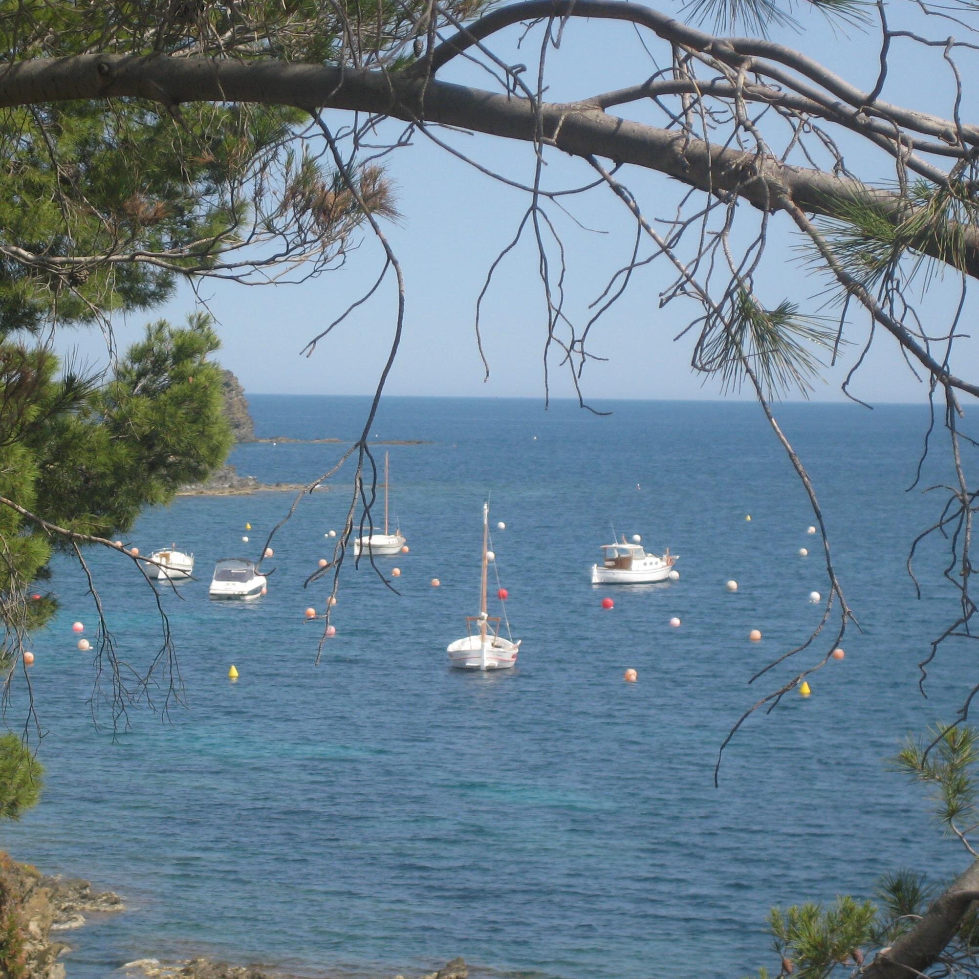 belette2000's profile picture. Le bonheur est possible mais il vaut mieux aller à sa rencontre qu'en écouter le récit .