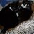 ThatTuxedoCat's profile image