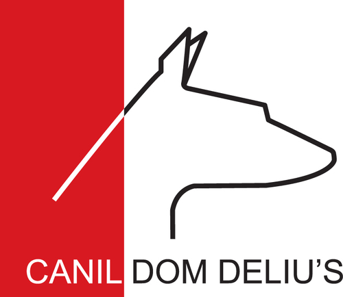 canildomdelius's profile picture. 