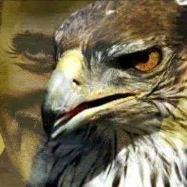 مصرى حر يعشق تراب الوطن ويعشق جيشه خير اجناد الارض ومع الدولة الوطنية من المخابرات العامة والحربية والامن الوطنى للدفاع عن الامن القومى المصرى