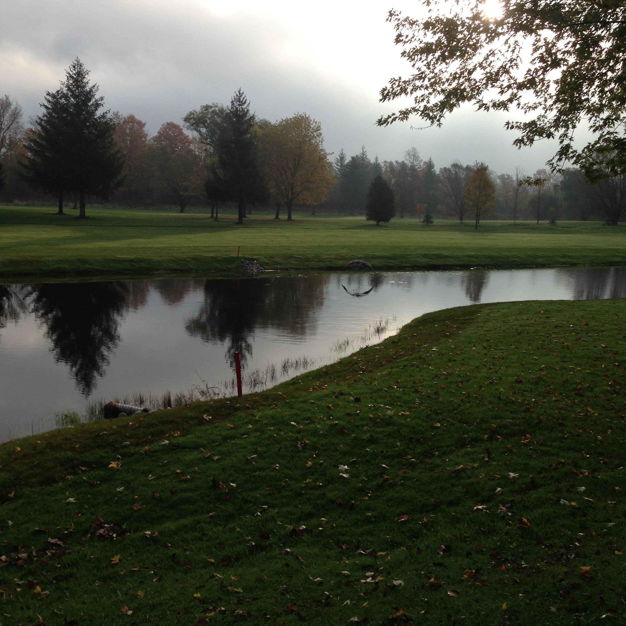 Blaine Miller Profile