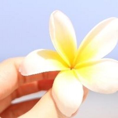 ワクワク幸せ女子養成講座 脂肪がつきやすい部位があるように 脂肪が落ちる順番もあります それは ふくらはぎ 肩 上腕部 太もも 胸 お腹 腰 お尻 といわれています ご参考に