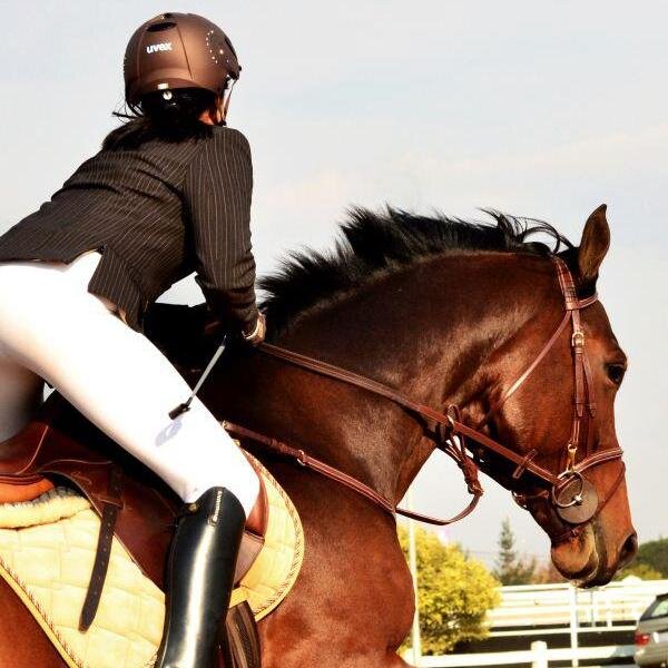 McLiesl's profile picture. Equestrian coach