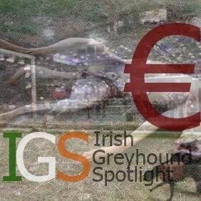 Irish Greyhound Spotlight                                   Exposing the plight of Irish Greyhounds