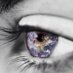 Eduardo Bolio (@eduardobolio) Twitter profile photo