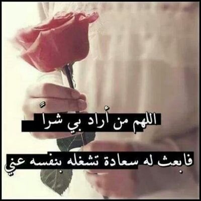 EntesarHJ379's profile picture. 