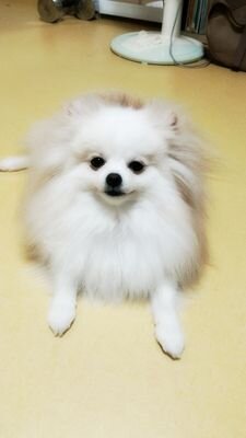 wangdot67's profile picture. 