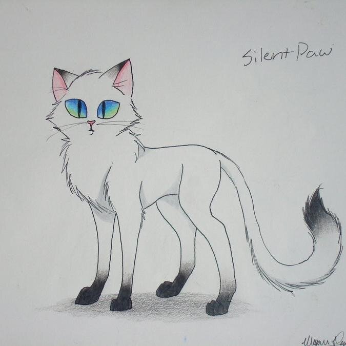 Sky is a gentle shecat that doesn't honestly believe that she fits in very well. Although she's very silent on her paws. |Single|