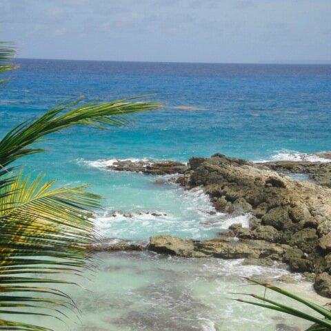 972_kanel's profile picture. 