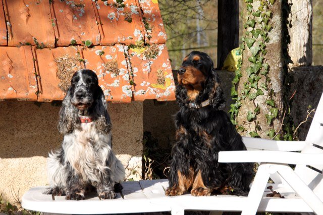 mhv18's profile picture. 