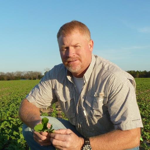 Crop Consultant-South GA--Cotton, Corn, Peanuts, and Soybeans. Hail State!!