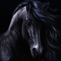 HorseWorld(@HorseWorld6) 's Twitter Profile Photo