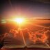 Elizabeth Steyn (@elizabethsteyn) Twitter profile photo