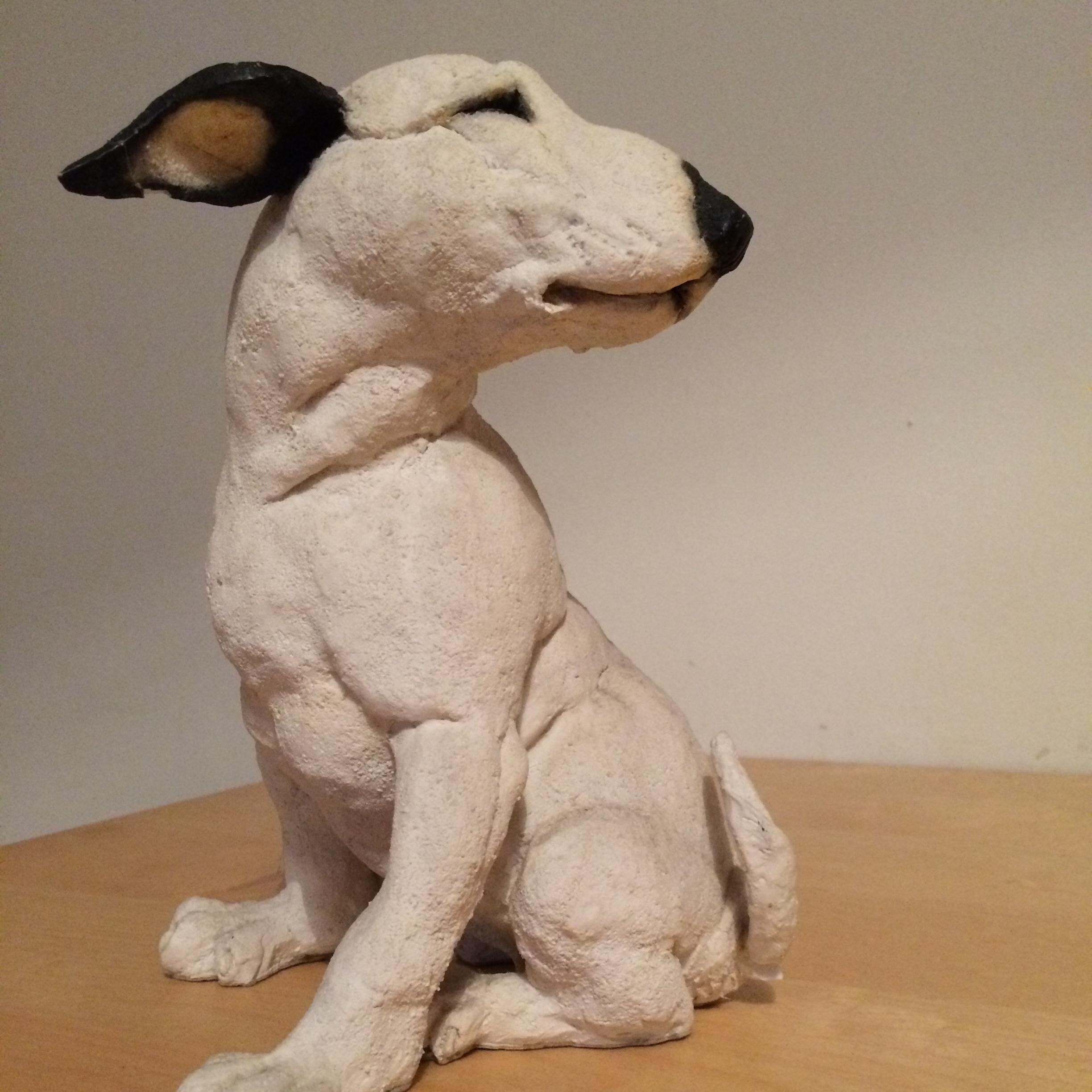 SquintingPuppy's profile picture. 