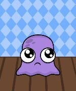 swencko's profile picture. Pesimiser yang mencoba menjadi optimiser