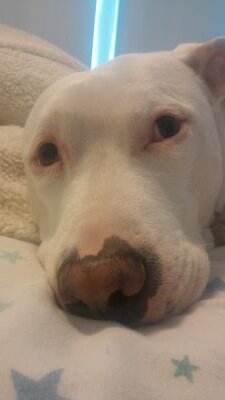 MollKeith's profile picture. 