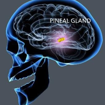 mrmoshow's profile picture. truth