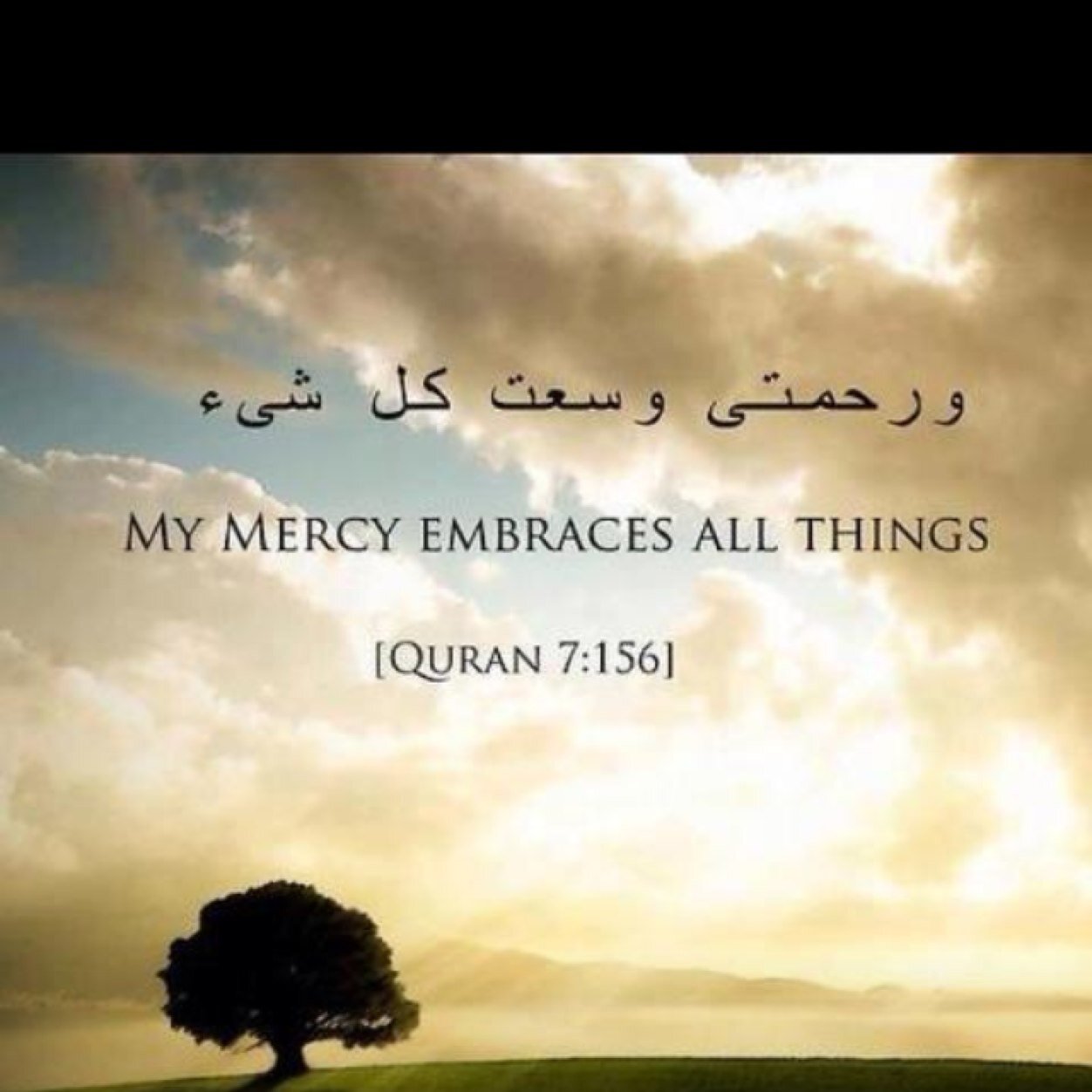 alaa_alruwaili's profile picture. 