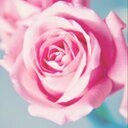 RadfordGoodGirl's profile picture. No beauty shines brighter than that of a good heart. #RadfordGoodGirl