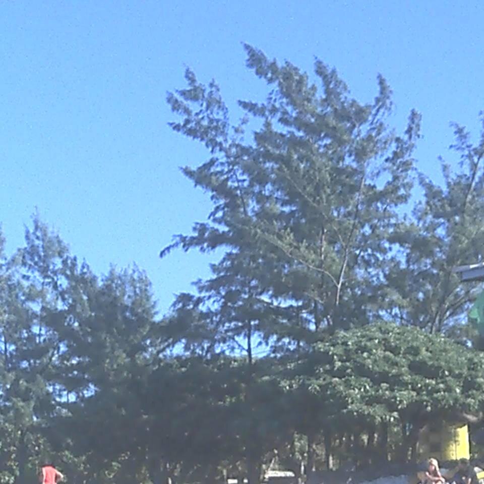 Geekette20's profile picture. One Direction, 5 Seconds Of Summer, Little Mix .... #WWE