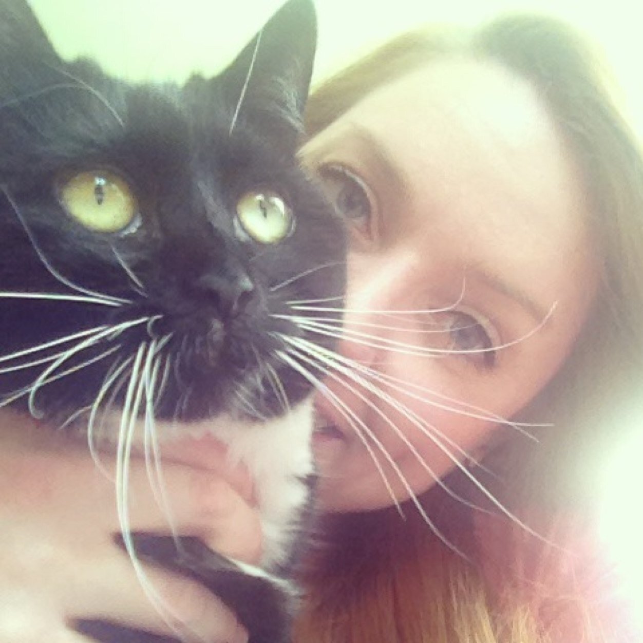 sianlewellie's profile picture. Fluent French. 26. I like afternoon tea, cats, Disneyland and wolves. The only sport I know is ice hockey.