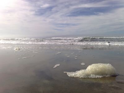 sapimurd's profile picture. 