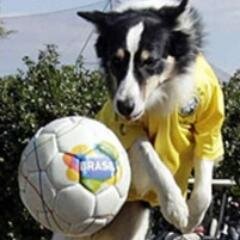 amamos os animais visite nossa pagina no facebook:
https://t.co/sudEuWkSa6