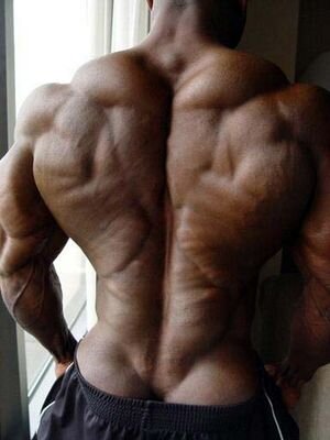 Personal Trainer level 4