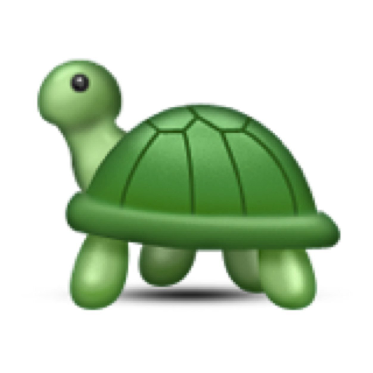 informational turtle